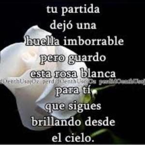 Meet your Posher, Rita